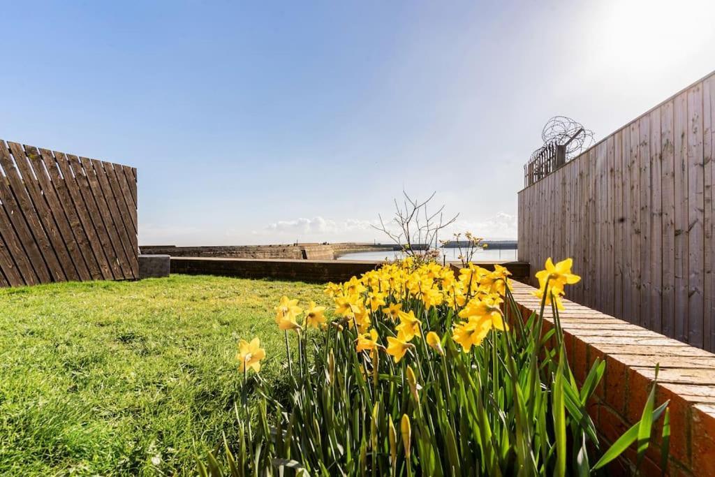 Stunning Ground Floor Hartlepool Marina Apartment Екстериор снимка